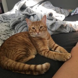 Meet your Posher, Emily